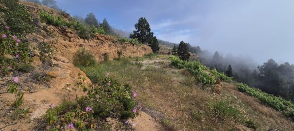 Дом с 2 спальнями в Гуимар, Испания № 152047 27