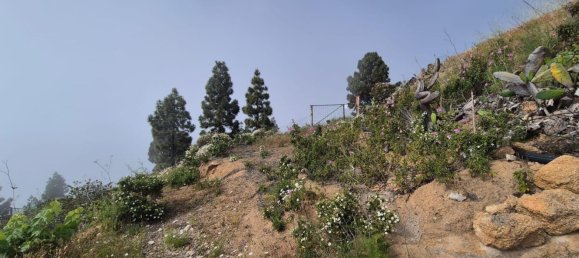 Дом с 2 спальнями в Гуимар, Испания № 152047 9