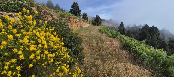 Дом с 2 спальнями в Гуимар, Испания № 152047 20