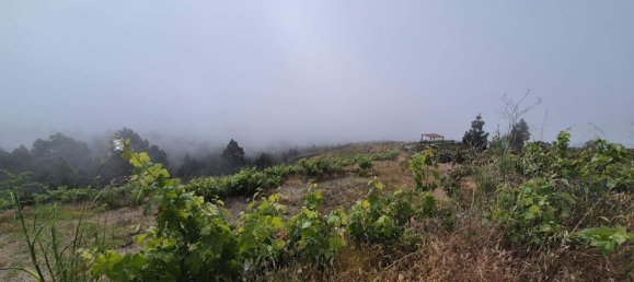 Дом с 2 спальнями в Гуимар, Испания № 152047 28