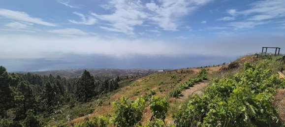 Дом с 2 спальнями в Гуимар, Испания № 152047 10