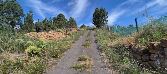 Дом с 2 спальнями в Гуимар, Испания № 152047 29