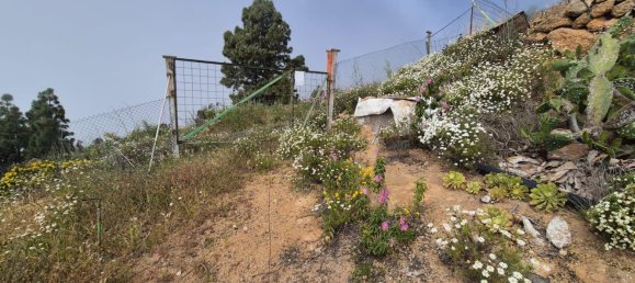 Дом с 2 спальнями в Гуимар, Испания № 152047 23