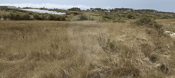 Grundstück in Sintra, Portugal 4960m², Nr. 286079 4