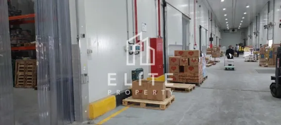 468m² Warehouse in Dubai, UAE No. 97734 12