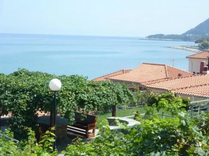 Propiedad comercial de 4 dormitorios en Mouresi, Greece No. 4159