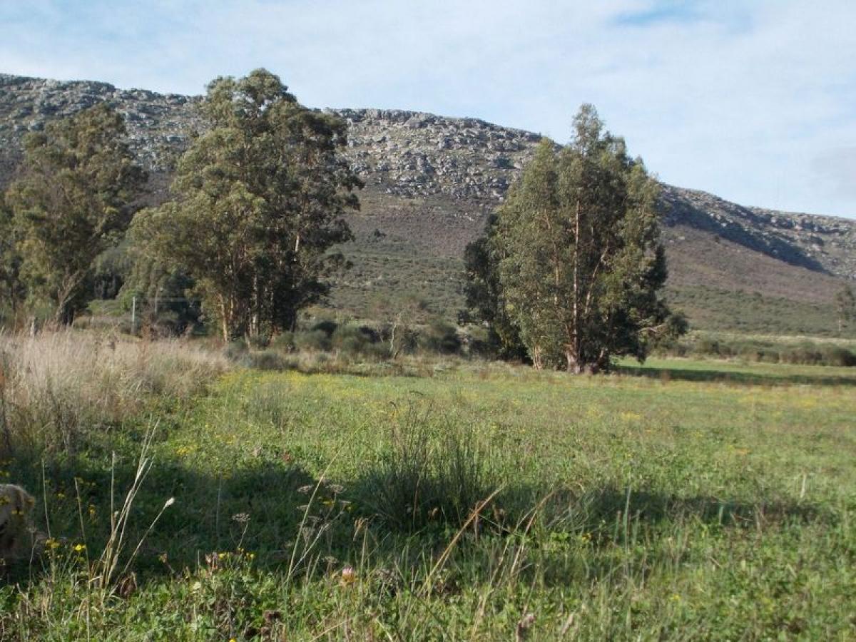 Terrain à Buenos Aires, Argentina No. 114413