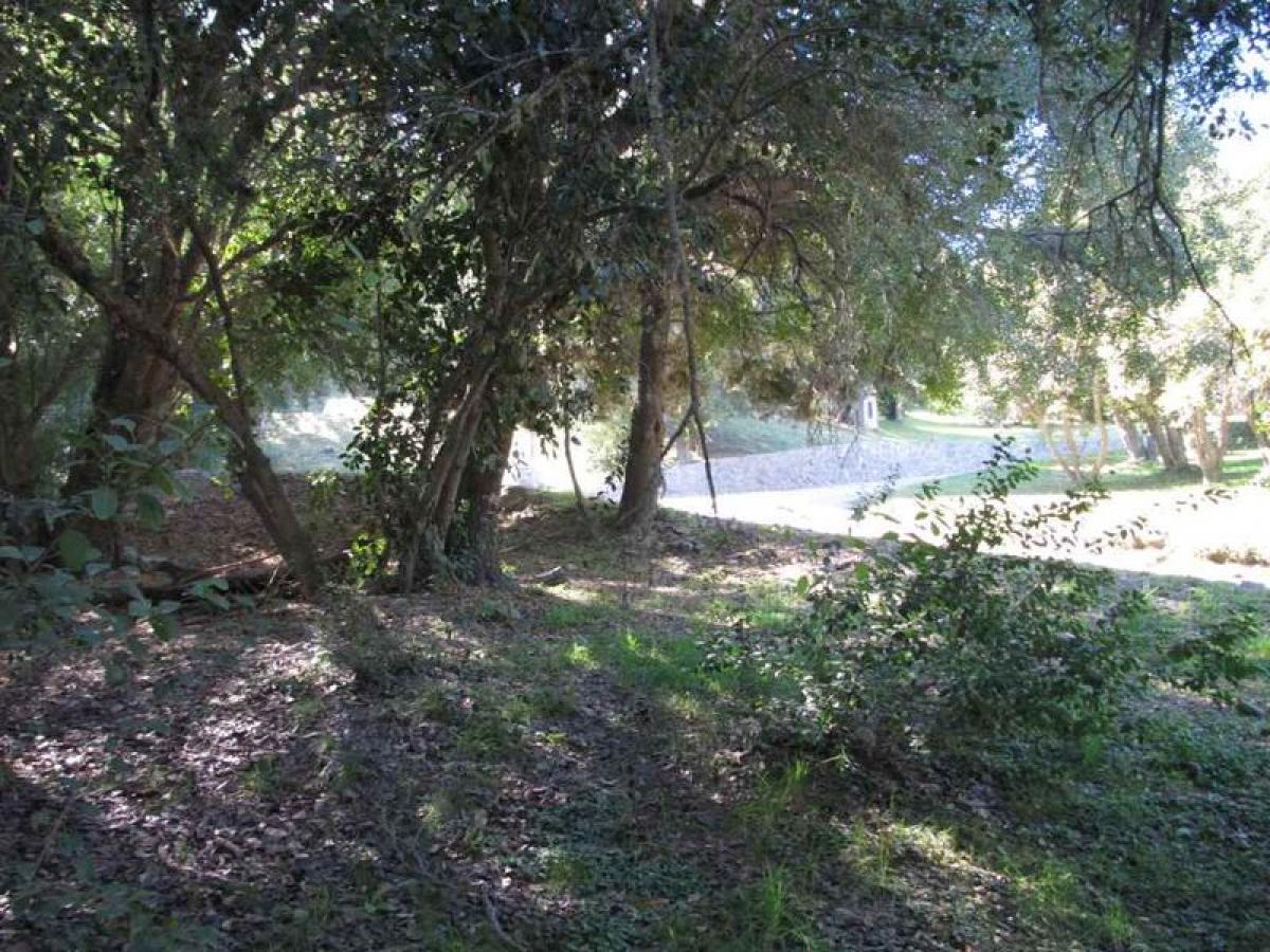  Land in Neuquen, Argentina No. 47801