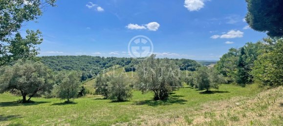 9 rooms House in Asciano, Italy No. 231886 15