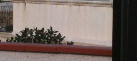 1 غرف نوم بانتهاوس في Giardini-Naxos, Italy رقم 159980 14