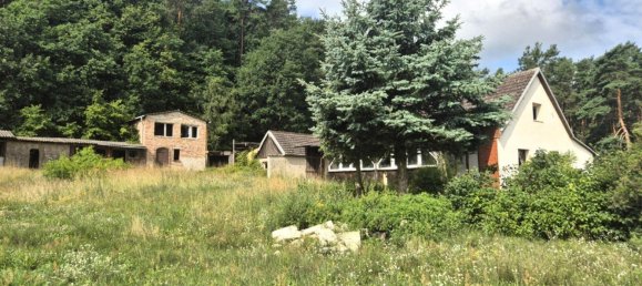 4 rooms House in Markisch-Oderland, Germany No. 265262 12