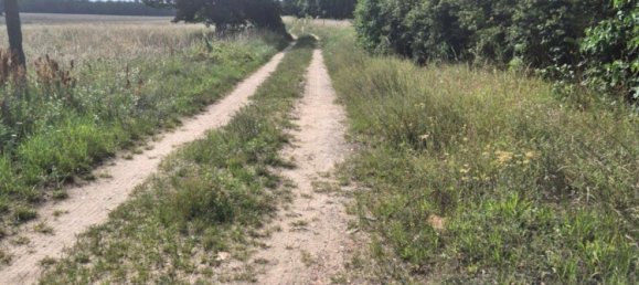 4 rooms House in Markisch-Oderland, Germany No. 265262 13