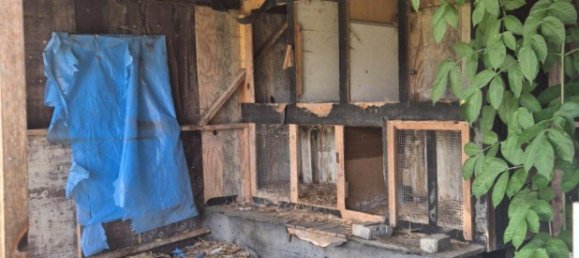 4 rooms House in Markisch-Oderland, Germany No. 265262 10