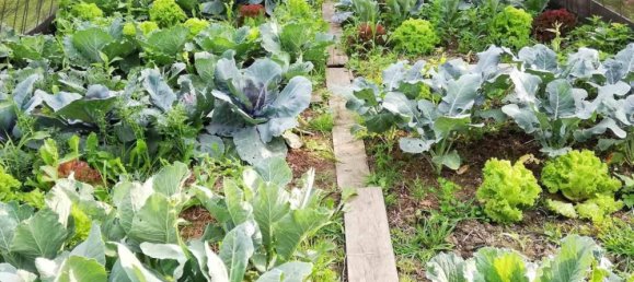 9-Zimmer Haus in Graz-Umgebung, Austria, Nr. 140904 7