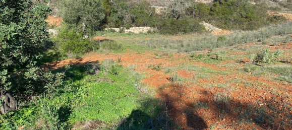 3720m² Land in Faro, Portugal No. 40510 8