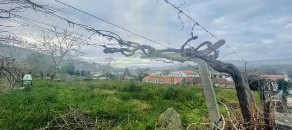  قطعة أرض في Gondarem, Portugal رقم 59763 6