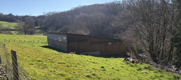 Дом с 3 спальнями в Эстиво, Франция № 98495 17