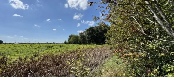 5 غرف نوم منزل في Emsland, Germany رقم 338619 44