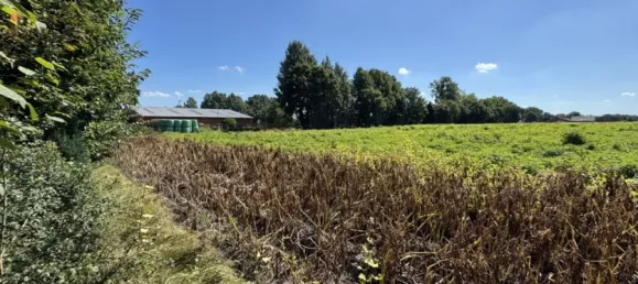 5 غرف نوم منزل في Emsland, Germany رقم 338619 43