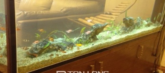 Квартира с 3 спальнями в Тэйхо, Вьетнам № 240 9