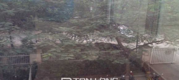 Квартира с 3 спальнями в Тэйхо, Вьетнам № 240 17