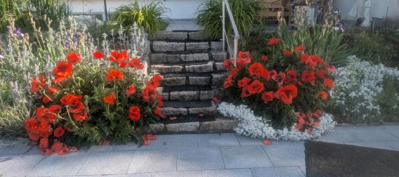 Таунхаус с 5 комнатами в Гарц, Германия № 309451 3