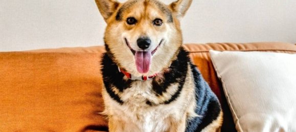 3 bedrooms Condo in Bangkok, Thailand No. 24392 5