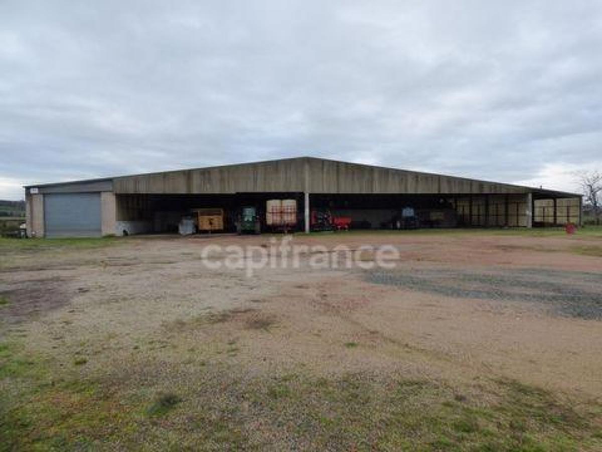 Oficina en Marcigny, France 900 m² No. 17533