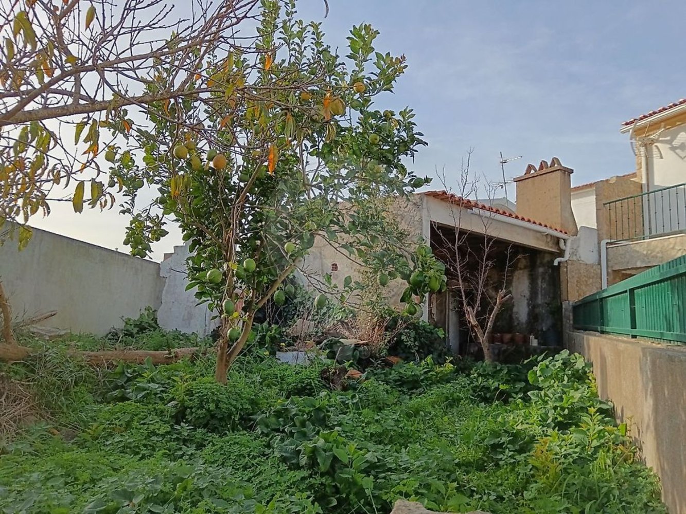 2 bedrooms House in Lourinha, Portugal No. 52720