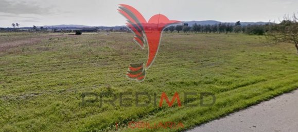 3 bedrooms House in Grandola, Portugal No. 59527 5