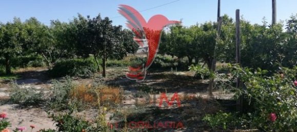 3 bedrooms House in Grandola, Portugal No. 59527 28