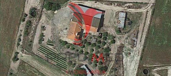 3 bedrooms House in Grandola, Portugal No. 59527 8