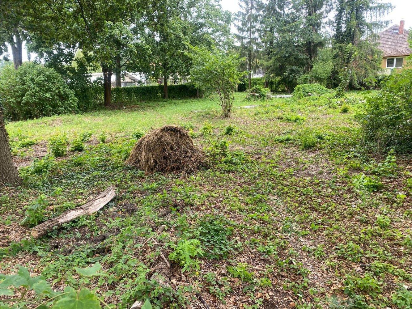 Grundstück in Havelland, Germany, Nr. 368712