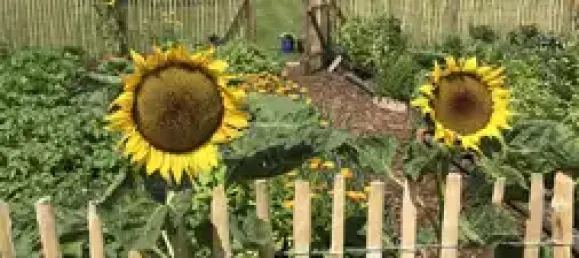 Granja de 2 dormitorios en Demmin, Germany No. 194252 18