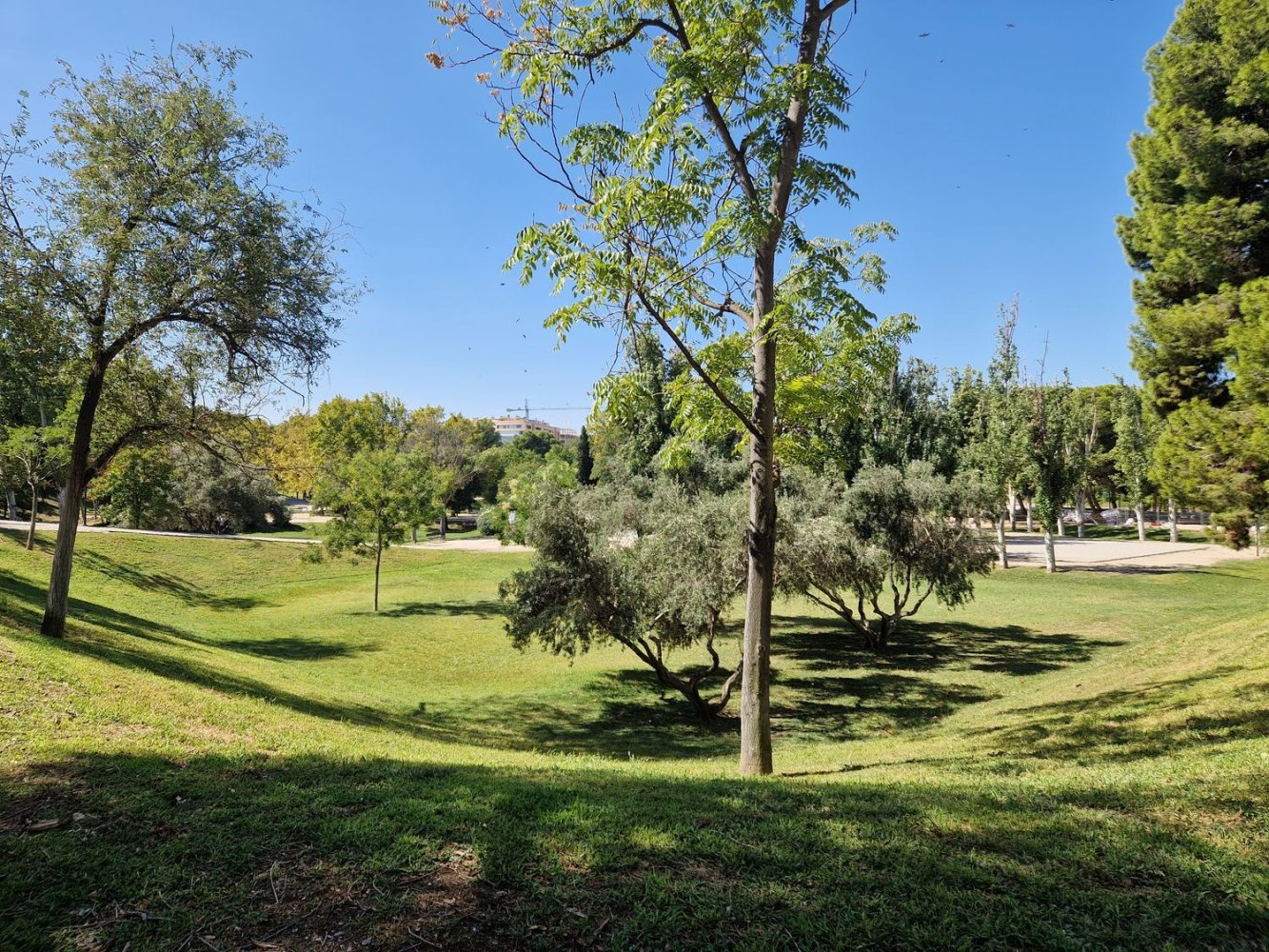 3 chambres Appartement à Zaragoza, Spain No. 251572