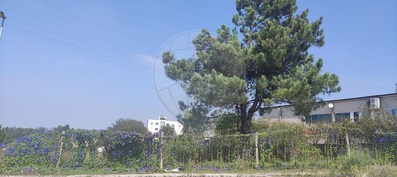 Terreno en Fanzeres, Portugal 9500 m² No. 32058 2