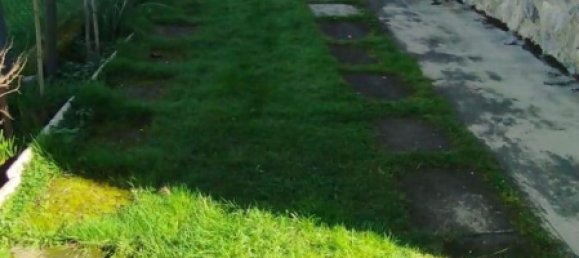 6 rooms Villa in Massa, Italy No. 215067 3