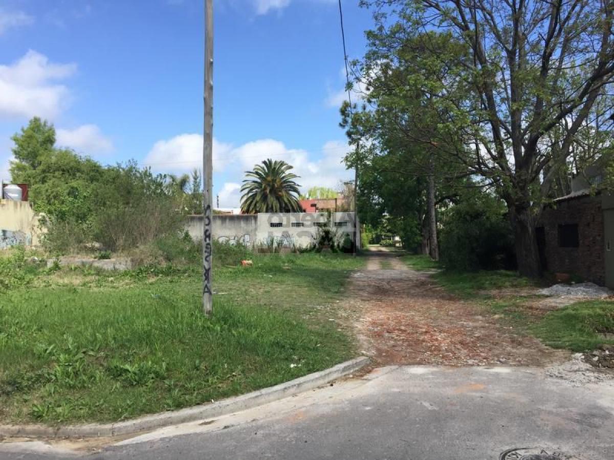  Land in Campo Creado, Argentina No. 43484