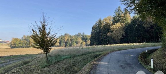  قطعة أرض في Leibnitz, Austria 4384متر مربع رقم 125947 2