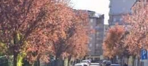 1 room Warehouse in Cusano Milanino, Italy No. 323763 4