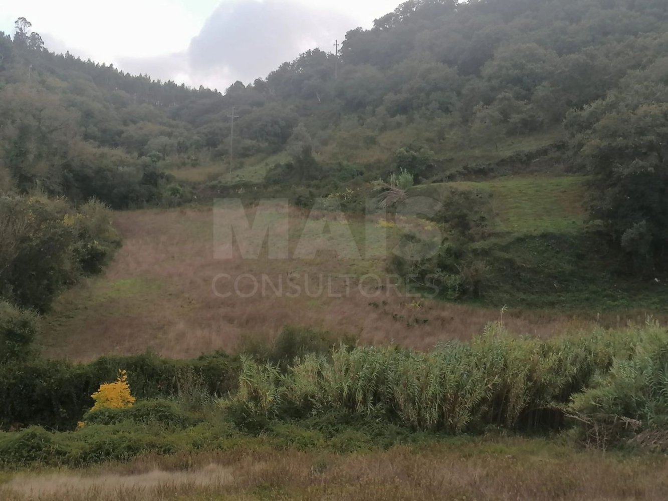 Земельный участок 7800м² в Собрал ди Монте Аграсу, Португалия № 220834