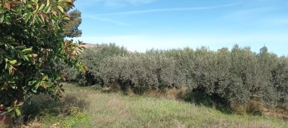 Земельный участок в Уэркаль-де-Альмерия, Испания № 160757 4