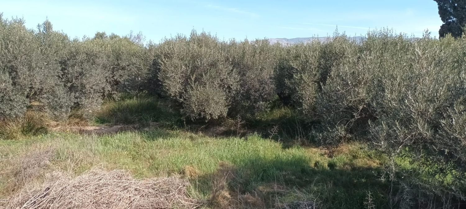 Земельный участок в Уэркаль-де-Альмерия, Испания № 160757