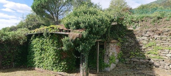 3-Zimmer Haus in Oggebbio, Italy, Nr. 70335 4