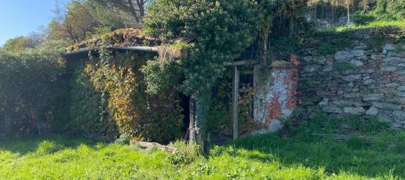 3-Zimmer Haus in Oggebbio, Italy, Nr. 70335 20