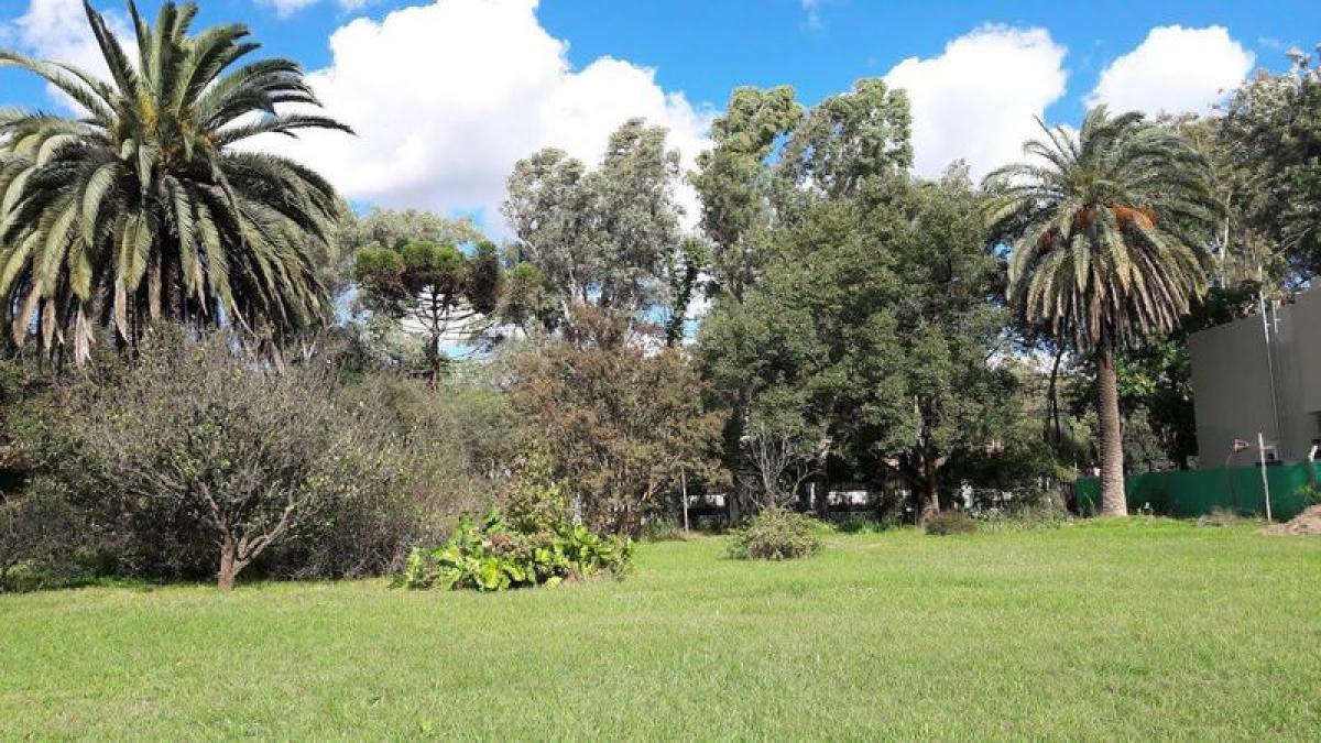  Land in Ituzaingo, Argentina No. 39255