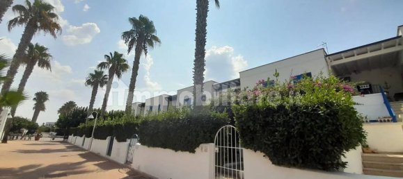 3 chambres Appartement à Porto Cesareo, Italy No. 191287 46