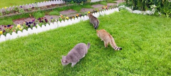 قطعة أرض في Brandenburg an der Havel, Germany رقم 262390 7