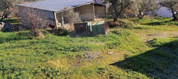 5 غرف نوم منزل في Pombal, Portugal رقم 42354 21