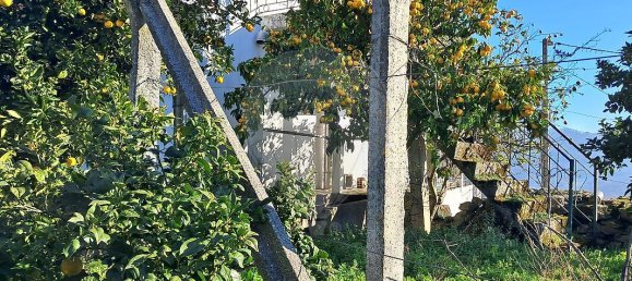 5 غرف نوم منزل في Pombal, Portugal رقم 42354 4